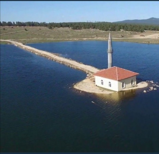Yolun ortasında namaz kılanların amacı ne?