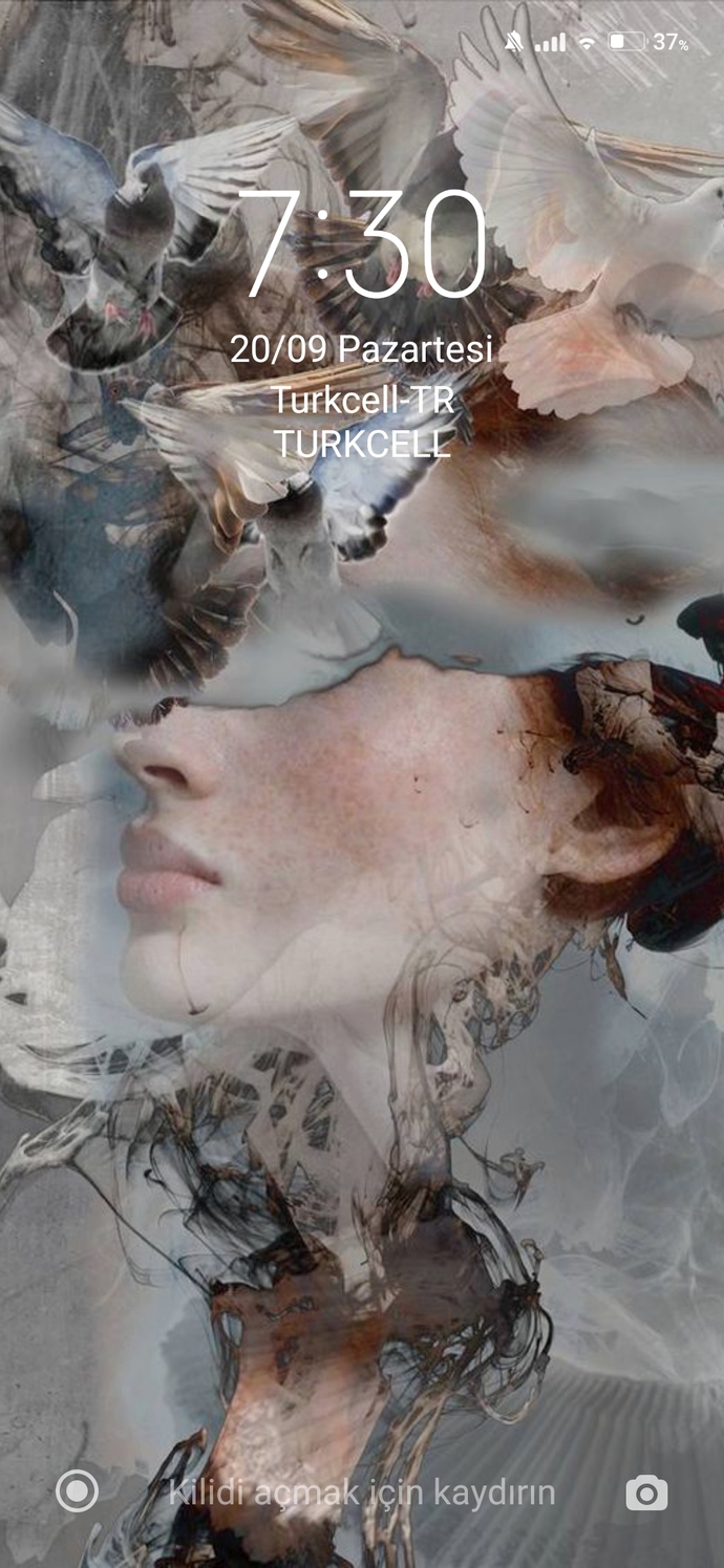 Wallpaper / duvar kağıdı paylaşma etkinliği yapalım mı?