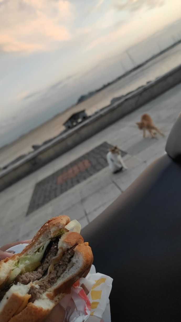 Senin burgerin et mi yoksa tavuk mu olmalı?