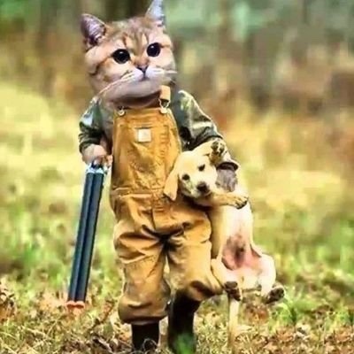 Beslediğiniz hayvan size bir şey öğretti mi?