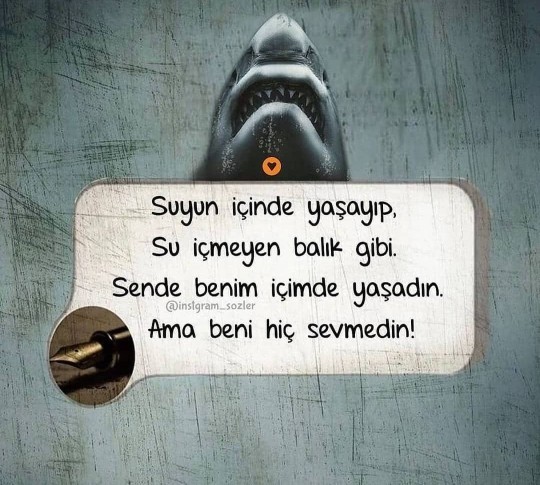 Sizce görseldeki sözler hangi burçlara aittir?
