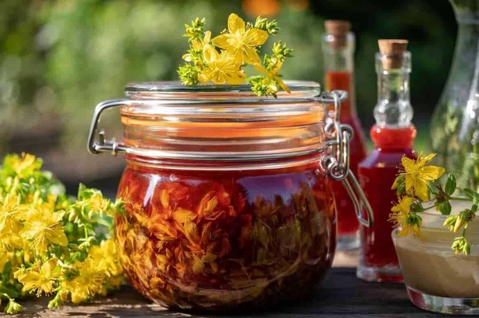 Sarı kantaron nedir? Kullanıcı yorumları nelerdir?