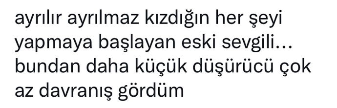 Ayrılır ayrılmaz yeni ilişkilere yelken açan eski sevgili hakkında ne düşünüyorsunuz?