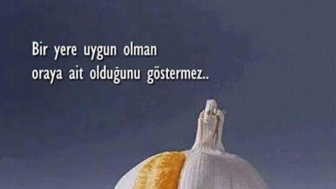 Kendinizi şu an olduğunuz yere ait hissediyor musunuz?