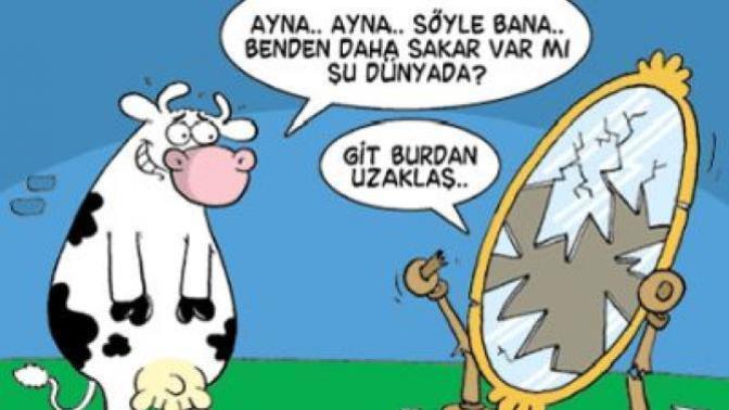 En son nasıl bir sakarlık yaptın?