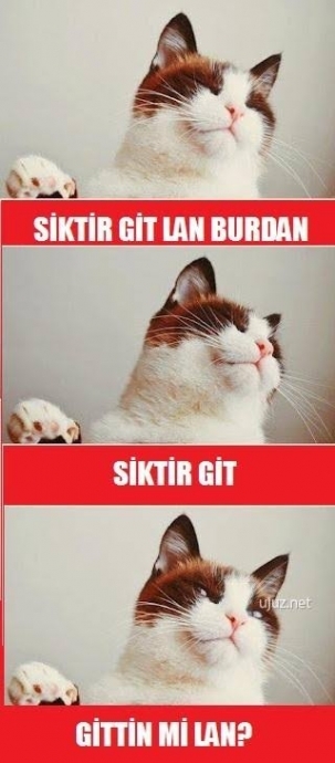 Galerinizdeki son fotoğrafı atabilir misiniz?
