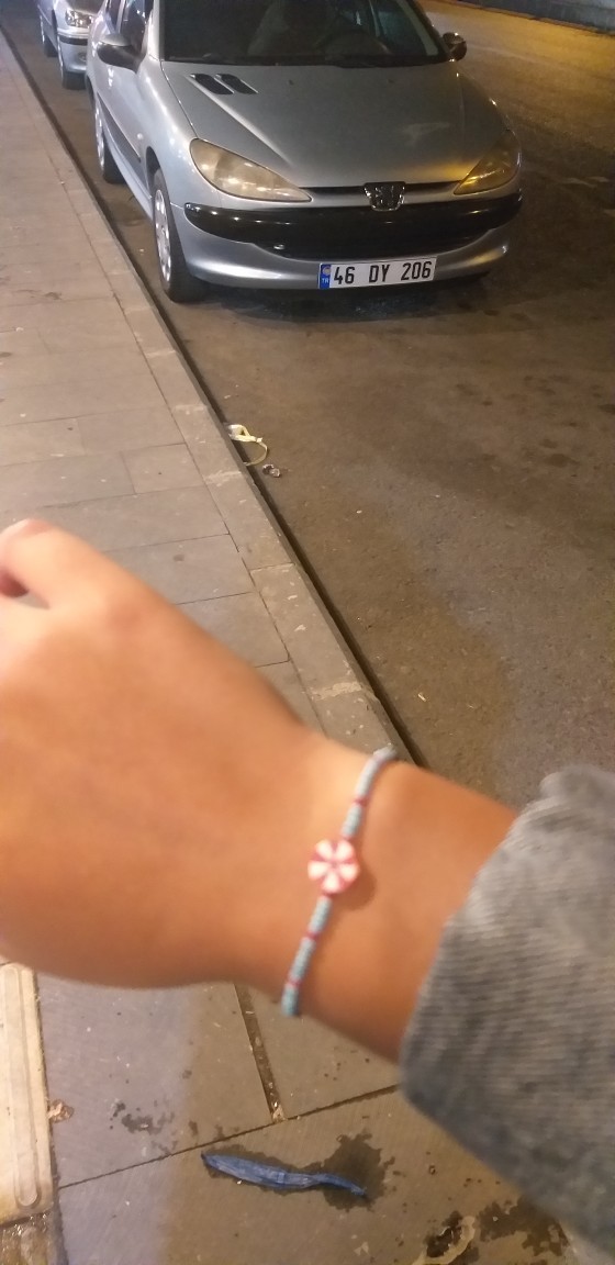 Galerinizdeki son fotoğrafı atabilir misiniz?