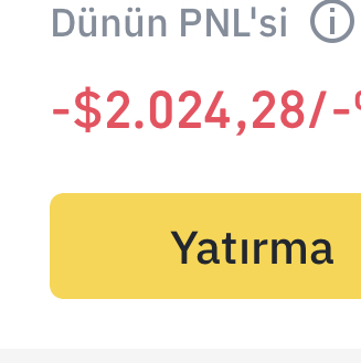 Galerinizdeki son fotoğrafı atabilir misiniz?