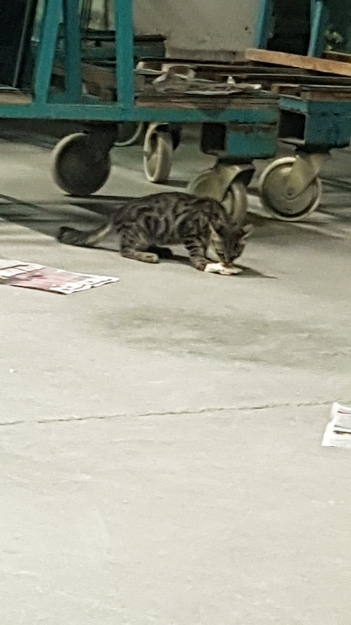 Galerinizdeki son fotoğrafı atabilir misiniz?