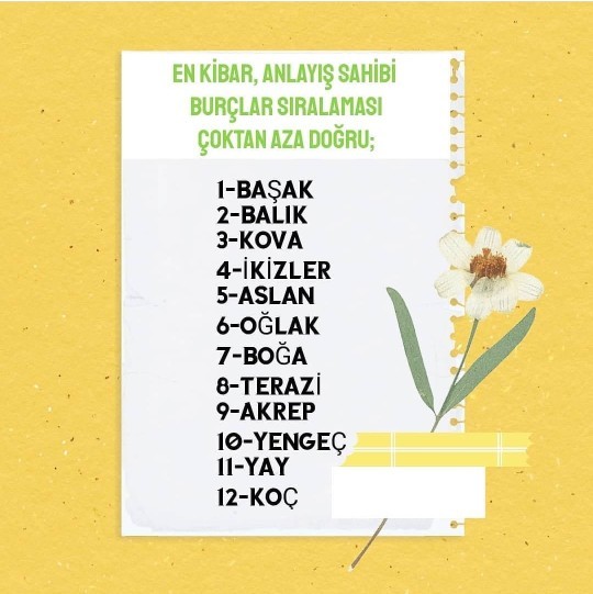 Ne kadar kibarsın ve ne kadar anlayışlısın peki?
