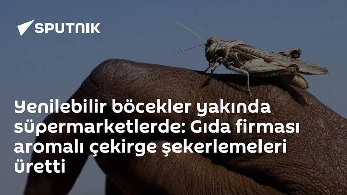 Yenilebilir böcekler yakında süpermarketlerde olacak! Ne düşünüyorsunuz?