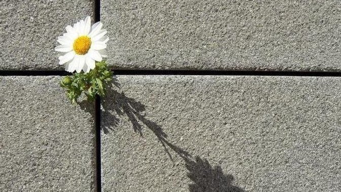 İmkansıza inanır mısınız? sizce imkansız diye bir şey var mı?