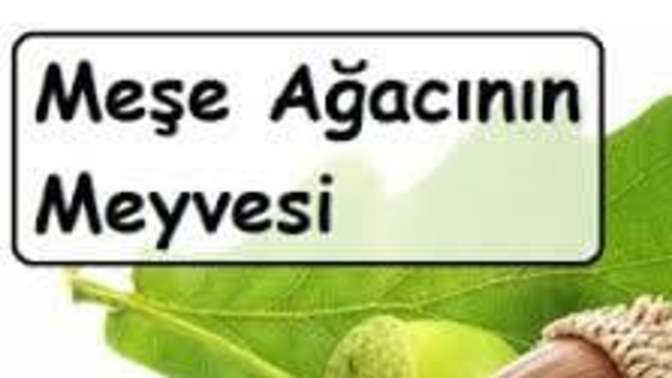 Hayatinda hic pelit yedinmi?