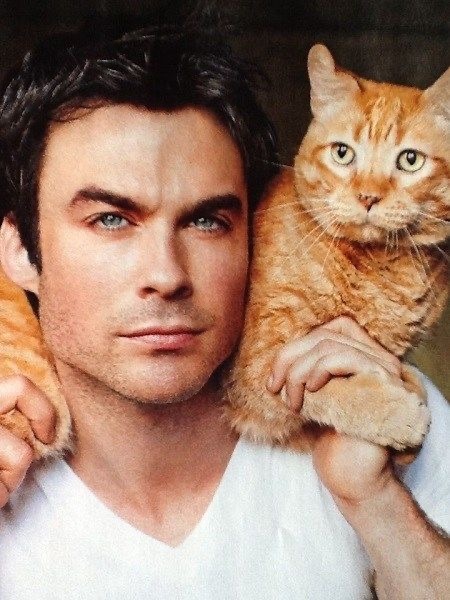 Kedi seven ve besleyen erkekler çekici değil mi sizce de 😍?