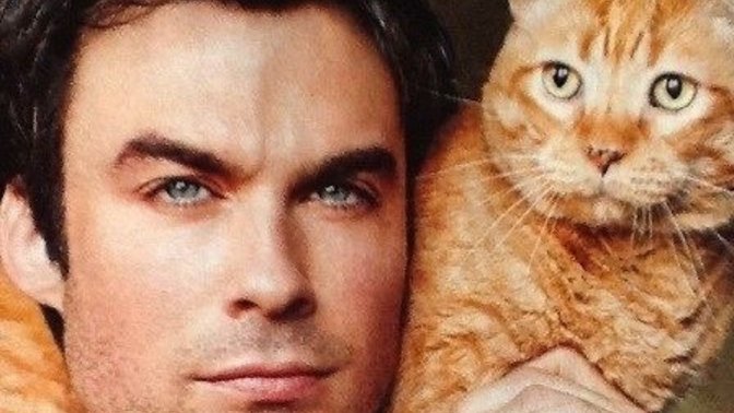 Kedi seven ve besleyen erkekler çekici değil mi sizce de 😍?