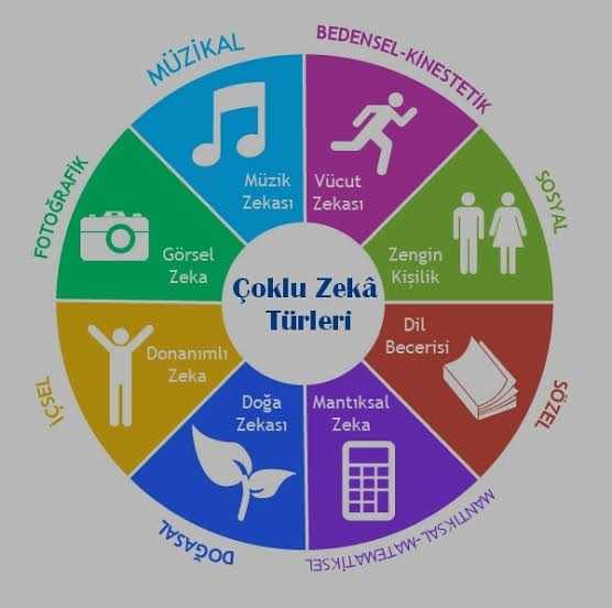 Çoklu zeka kuramına göre siz hangi tür zekaya sahipsiniz?