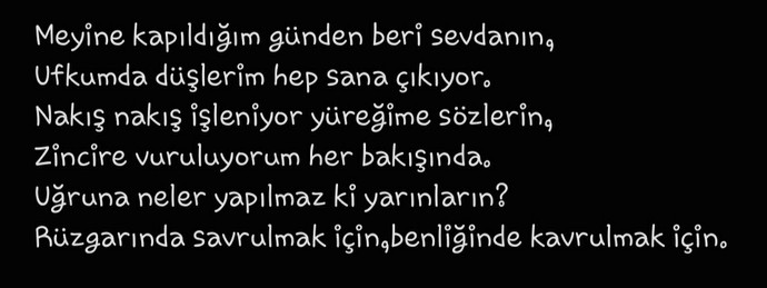 Erkek arkadaşımla şiir yazma yarışına girdik, hangimizinki daha güzel?
