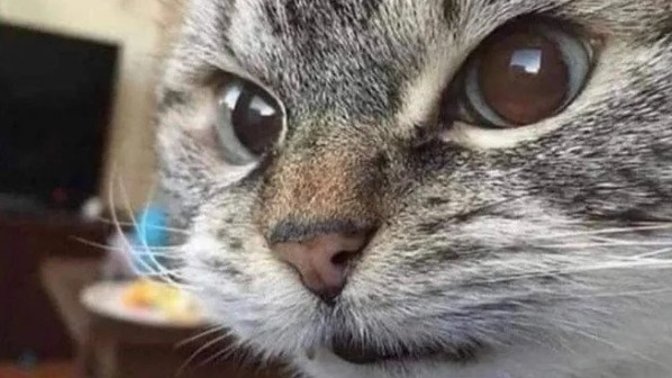 Psikoloji bozan soru detaylarıma bayılıyorsunuz dimi?