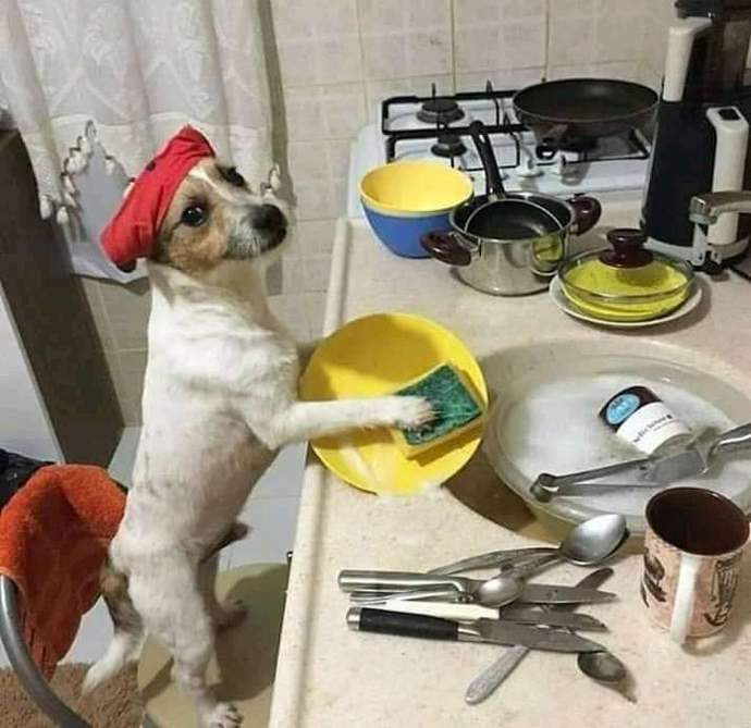 Bulaşıkları elde mi yoksa makine mi yıkarsınız 😂 ?