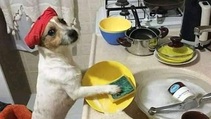 Bulaşıkları elde mi yoksa makine mi yıkarsınız 😂 ?