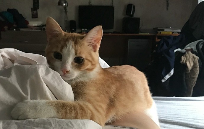 En son neyin fotoğrafını çektin?