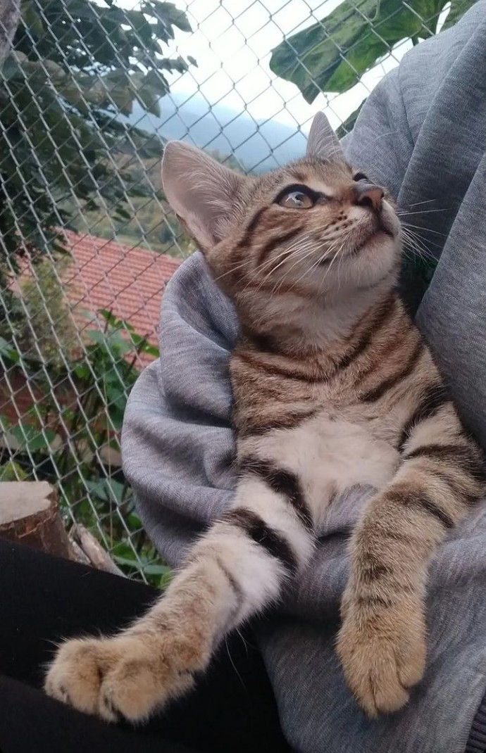En son neyin fotoğrafını çektin?