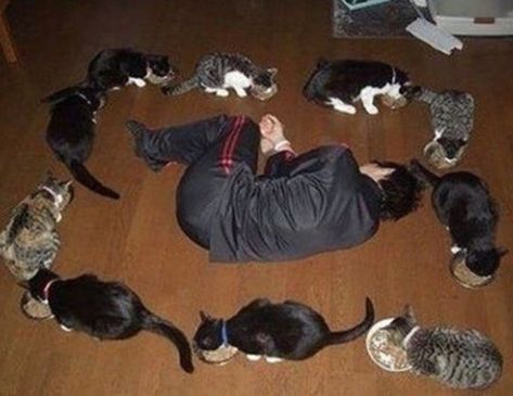 Bende uyandırdığınız ruh haline göre Pinterest'imden memes vereyim mi?