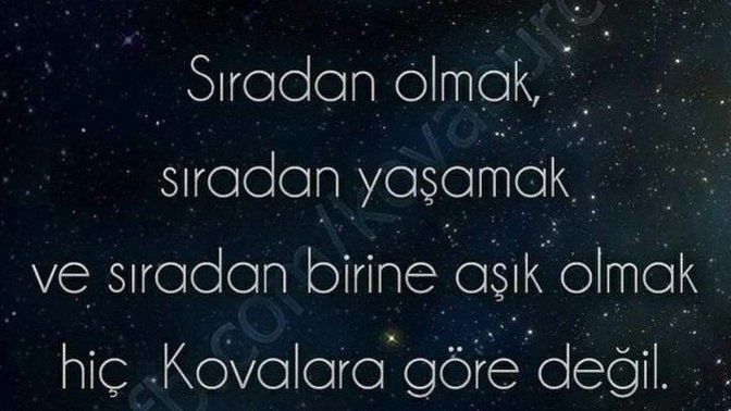 Kova Burcu ruhsuz bir odun mu sence de?
