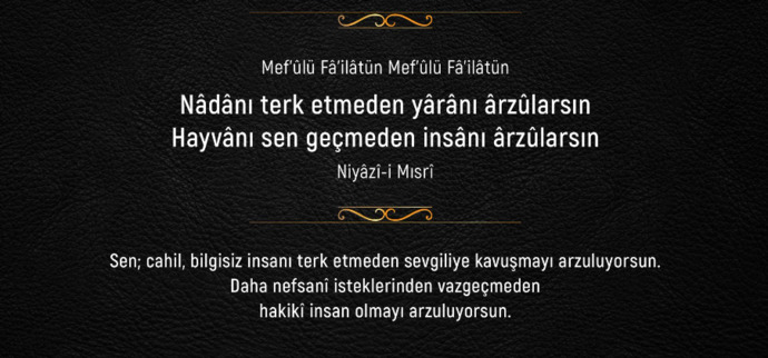 Nadanı terk etmedin, yaranı arzularsın
