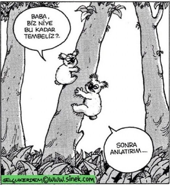 Ben anlatırdım ama üşendim 😬😬