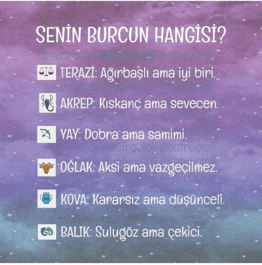 Senin burcun hangisi?