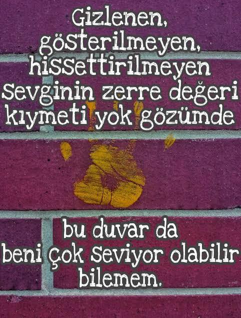 Sevgisini göstermeyen erkek ile sevgi kelebeği olan kadının ilişkisi nasıl olur?