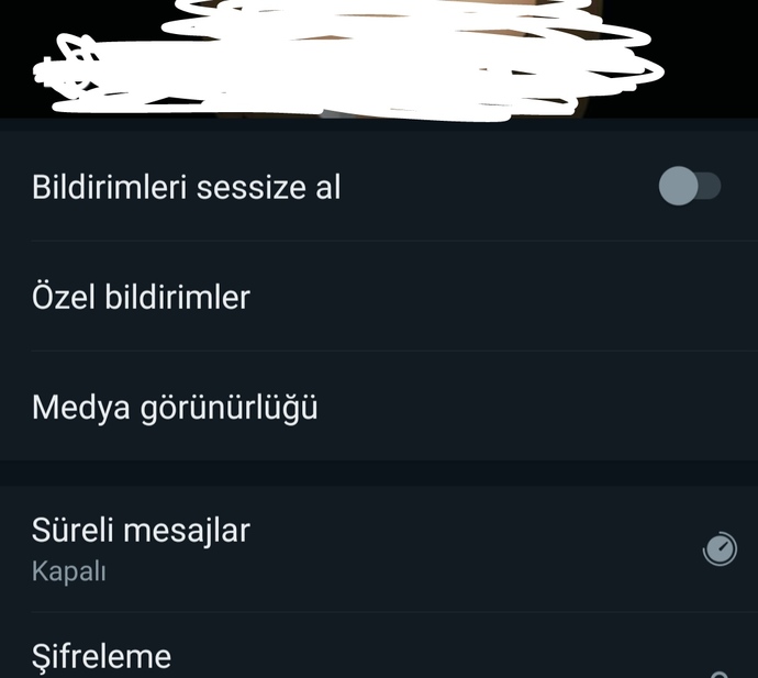 Whatsappda numarasi varken hakkımda kısmı gözüküyor numarasını silince hakkimda kısmı siliniyor neden?