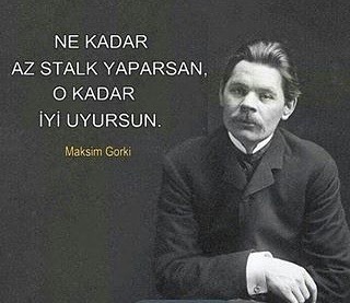 Stalklamak konusunda iyi misiniz?