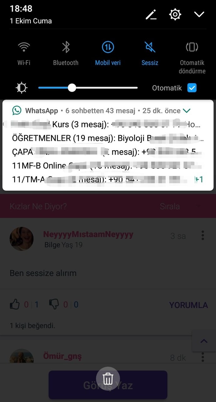 WhatsApp gruplarında sen nasılsın?