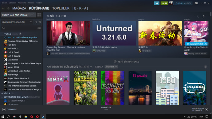 Steam kütüphanenizde toplamda kaç oyun var?
