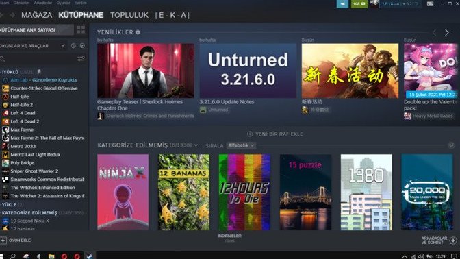 Steam kütüphanenizde toplamda kaç oyun var?