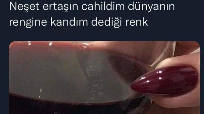 Neşet Ertaş'ın "Cahildim dünyanın rengine kandım" dediği sozdeki dünyanın rengi sizce nedir?