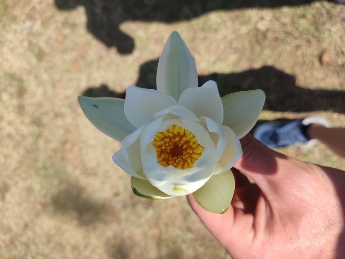 Para pulla işi olmayan gözü yükseklerde olmayan kız kaldı mı?