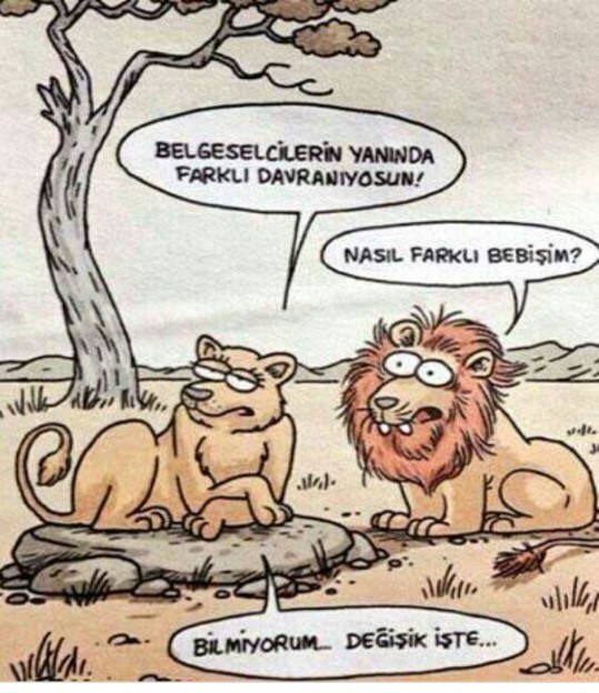 Kadınların tribi, nazı olmamalı mı?