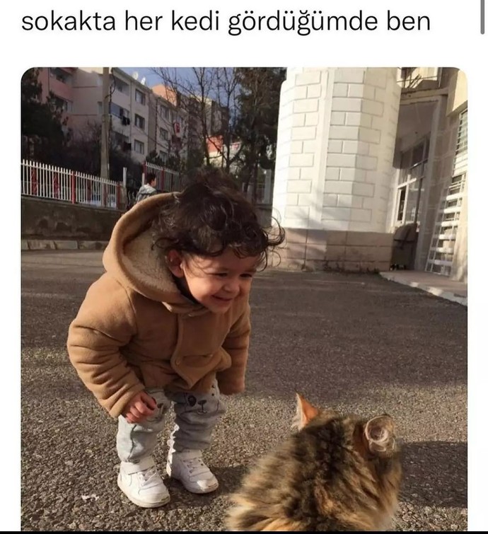 Bugün 4 Ekim Hayvanları Koruma Günü!😸 Sizin evcil bir dostunuz var mı?