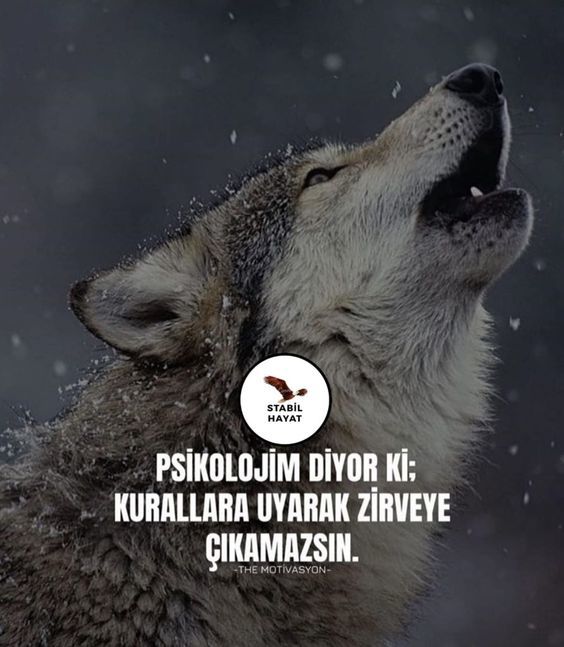 Kurallara uyarak zirveye çıkabilir misin?