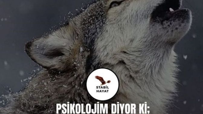 Kurallara uyarak zirveye çıkabilir misin?