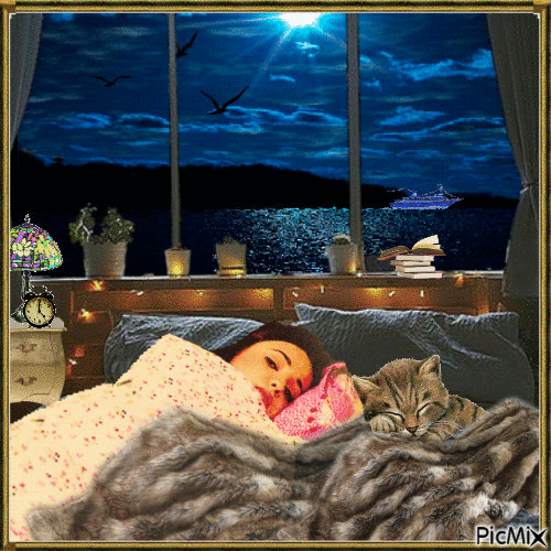 😴😴😴
