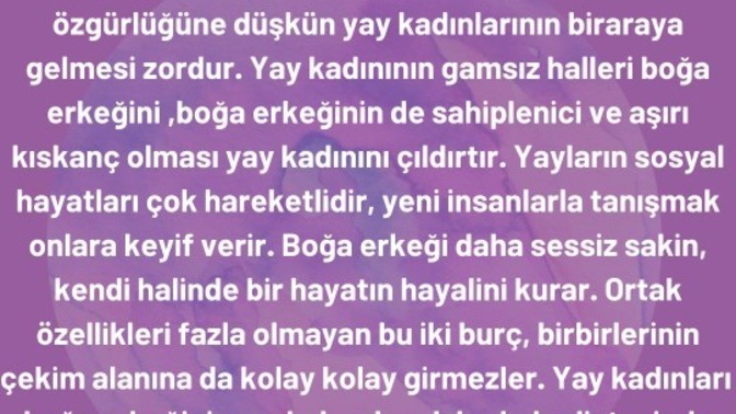 Boğa erkeği ve yay kadını anlaşır mı sizce?