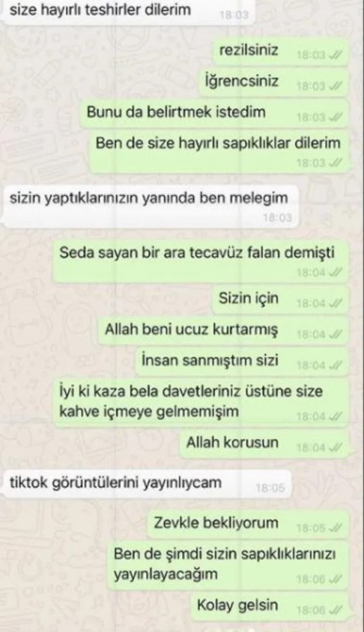 Ece Ronay, Mehmet Ali Erbil’in kendisine attığı mesajları yayınladı! Ünlü olmak tacizi meşru mu kılıyor?
