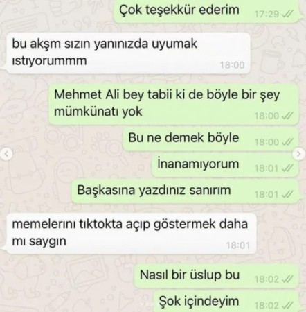 Ece Ronay, Mehmet Ali Erbil’in kendisine attığı mesajları yayınladı! Ünlü olmak tacizi meşru mu kılıyor?
