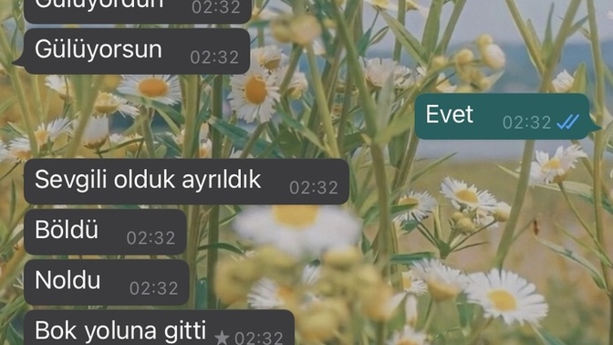 Sevgili olmayı sevmiyorum diyen erkeğin amacı ne olabilir?