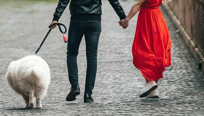 Sevgilinizin hayvan sevmemesi, ayrılma sebebi olabilir mi?