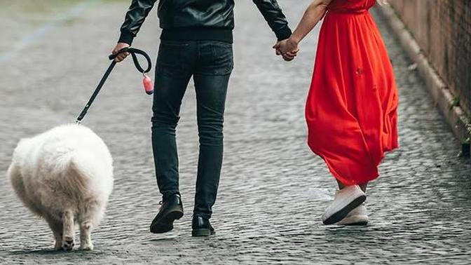 Sevgilinizin hayvan sevmemesi, ayrılma sebebi olabilir mi?